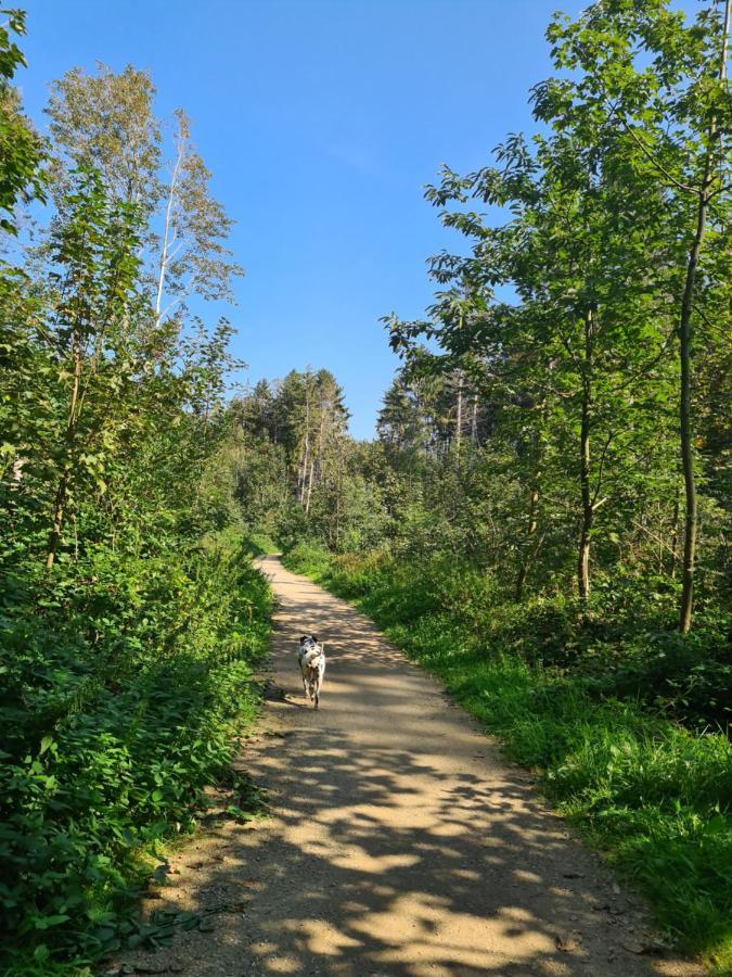 Mini-Chalet - Vakantiepark 'T Urkerbos المظهر الخارجي الصورة